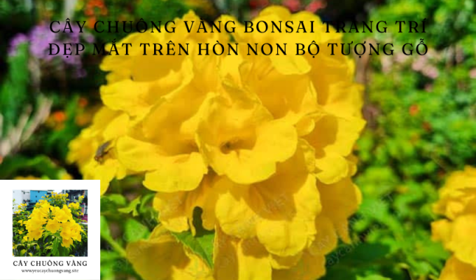 Cây chuông vàng bonsai trang trí đẹp mắt trên hòn non bộ tượng gỗ