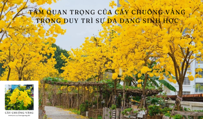 Tầm quan trọng của cây chuông vàng trong duy trì sự đa dạng sinh học