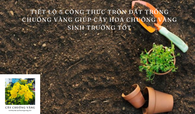 Tiết lộ 5 công thức trộn đất trồng chuông vàng giúp cây hoa chuông vàng sinh trưởng tốt: Bí quyết chăm sóc cây chuông vàng hiệu quả